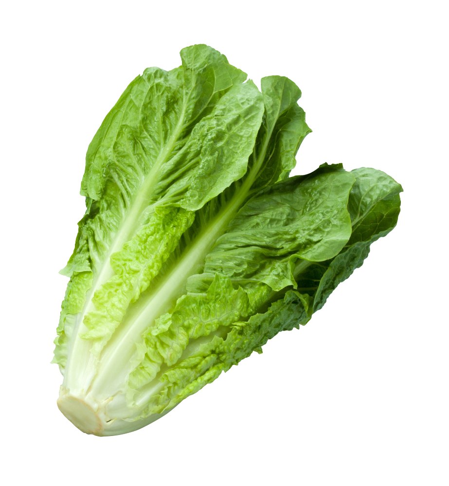 Roman Letuce 5 Kg