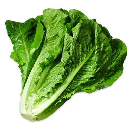 Lettuces Pesticide Free (for Raw Products) Lettuce Romaine Green