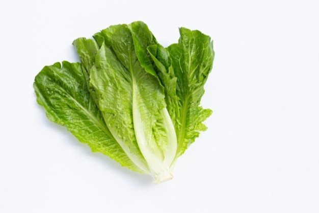 Poly House A Grade Romaine Lettuce, Carton, 10 Kg