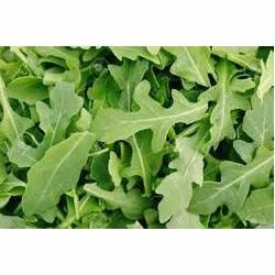 Lettuce Rocket