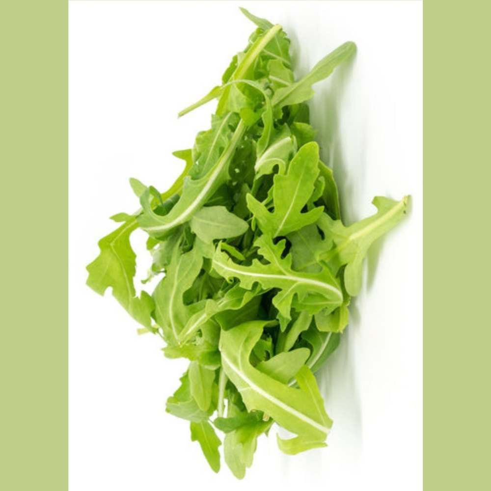 Rocket Aragula Lettuce