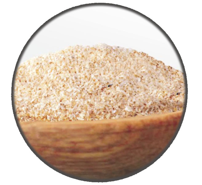Dehydrated White Onion Granules