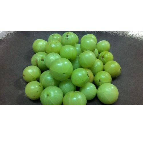 Fresh Amla, Packaging: Plastic Bag
