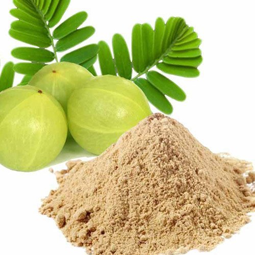 Spray Dried Indian Gooseberry Powder