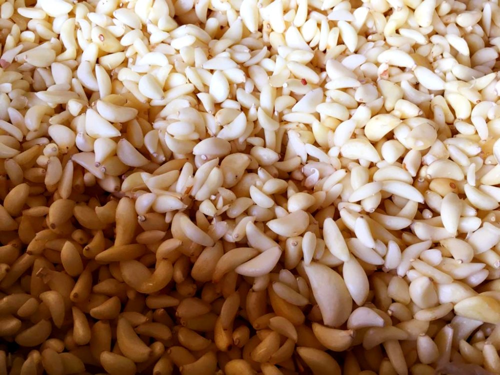 Peeled Garlic