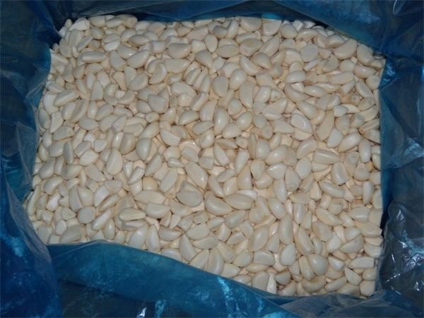 FROZEN PEELED GARLIC, Mp Gujarat, Ooty