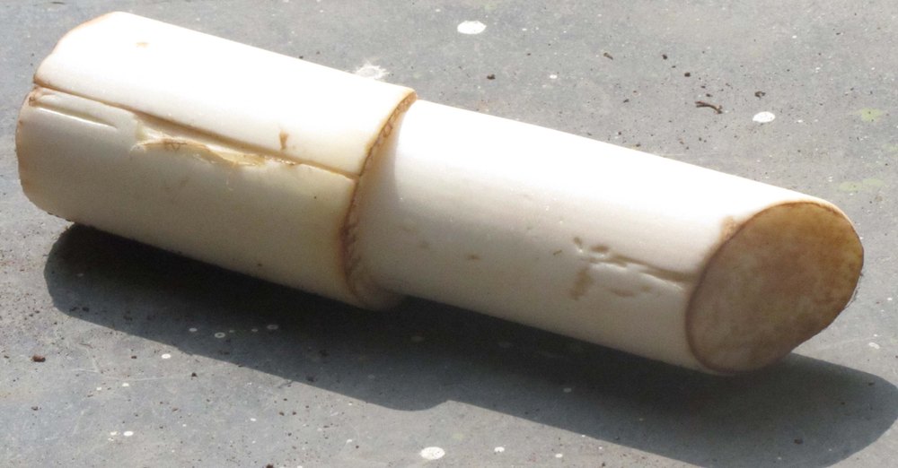 Banana Stem