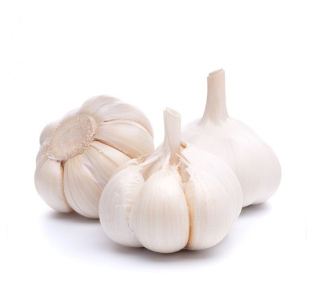 Garlic
