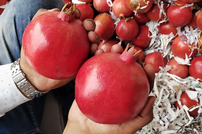 Fresh Pomegranates