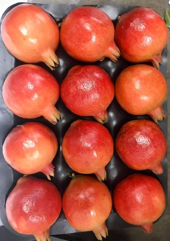A Grade Bhagwa Fresh Pomegranate, 10 Kg, Carton