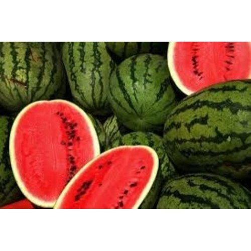 A Grade Fresh Watermelon, Packaging Type: Carton, Packaging Size: 20 Kg