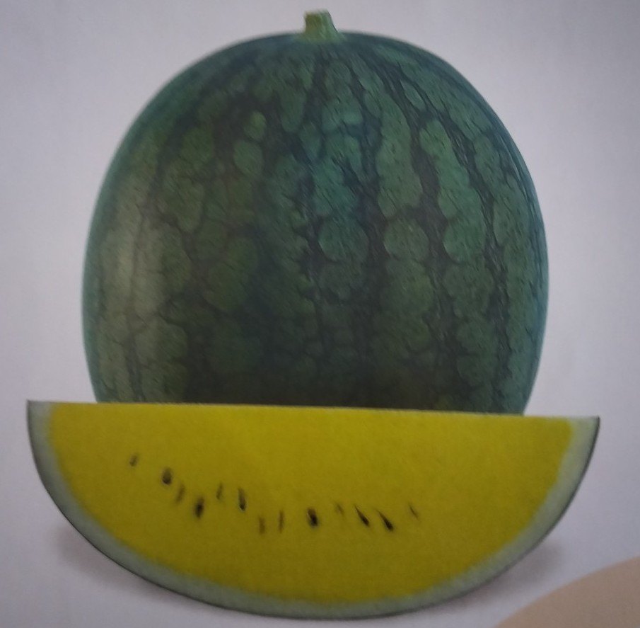 SANAS AGRO A Grade Watermelon Anmol, Packaging Type: POUCH, Packaging Size: 20 KG