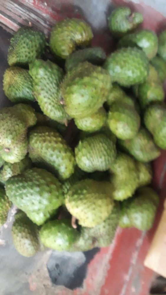 A Grade Organic Graviola Soursop Fruit, Packaging Size: 5 Kg