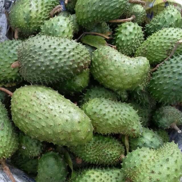 Organic A Grade Soursop Fruit Fresh, Packaging Size: 2 kg
