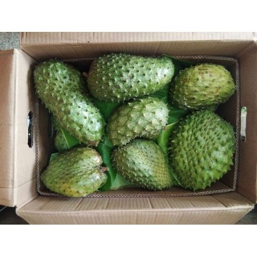 Ramphal Soursop Fruit, Packaging Type: Carton, Packaging Size: 2 kg