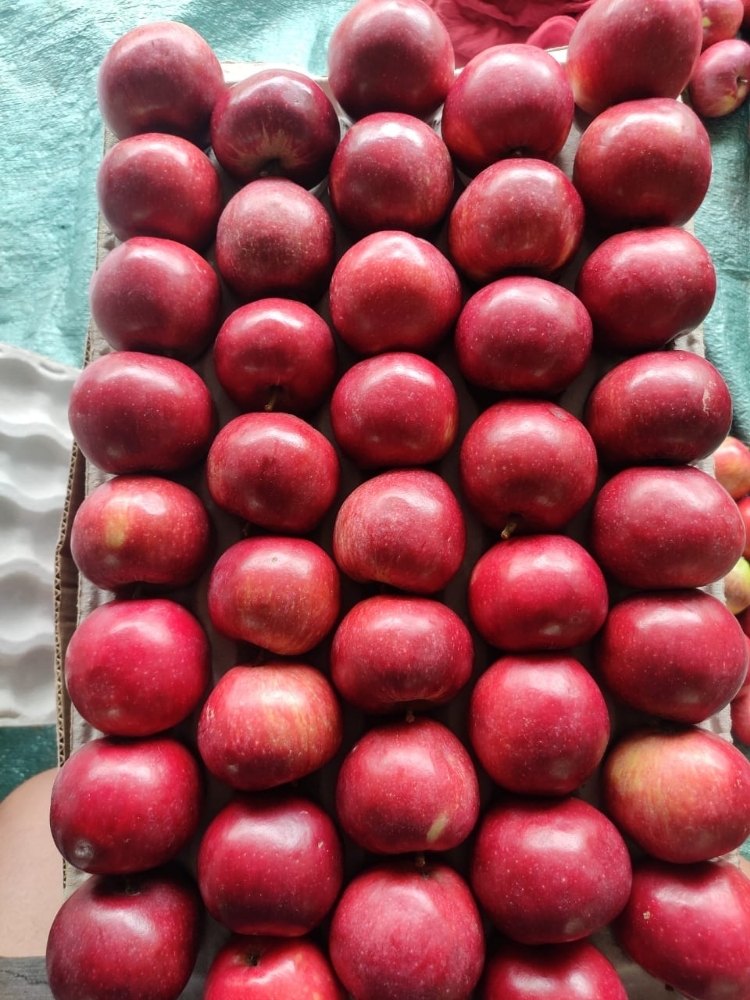 Himachali A Grade Apple Himachal, Packaging Type: Carton, Packaging Size: 27 kg