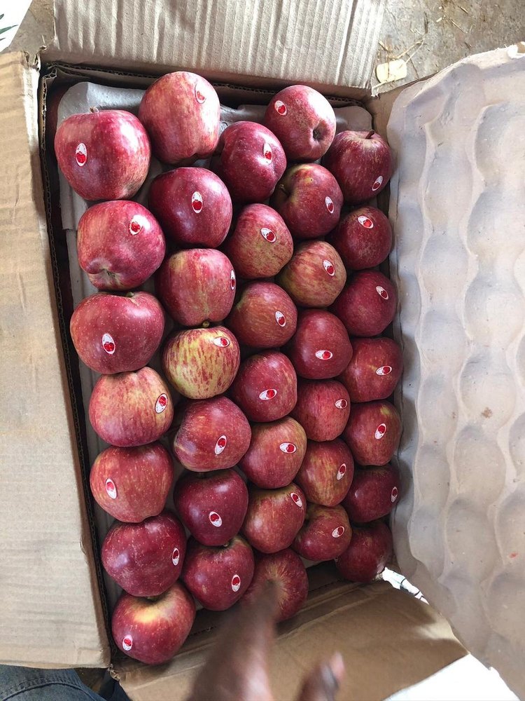 Himachali A Grade Fresh Red Apples, Packaging Type: Carton