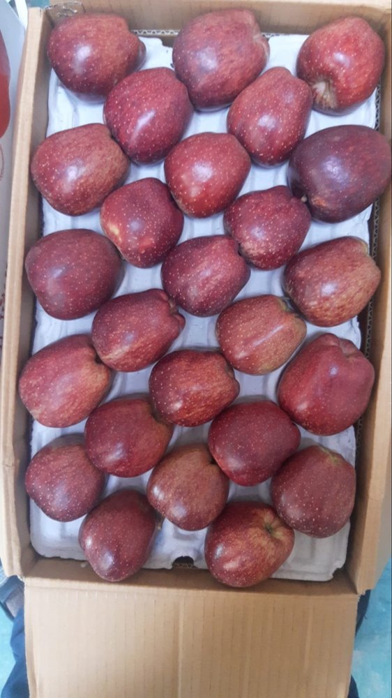 Himachali A Grade APPLE, Packaging Size: 20 Kg, Packaging Type: Carton