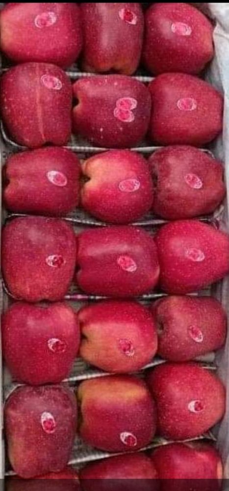 Kashmiri A Grade Fresh apple, Packaging Type: Wood Box, Kashmir And Shimla