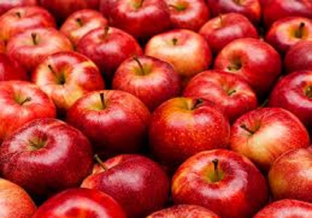 A Grade Turkey Fresh Apple, Packaging Size: 20 Kg