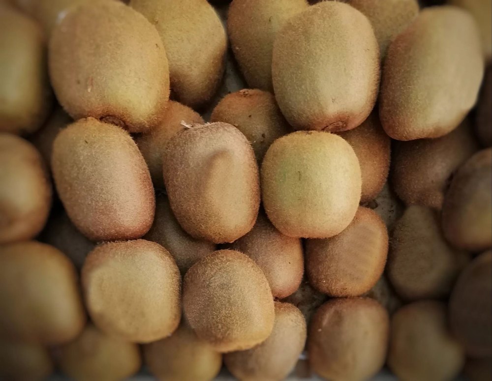 A Grade Kiwi, Packaging Type: Carton, Packaging Size: 24 Piece