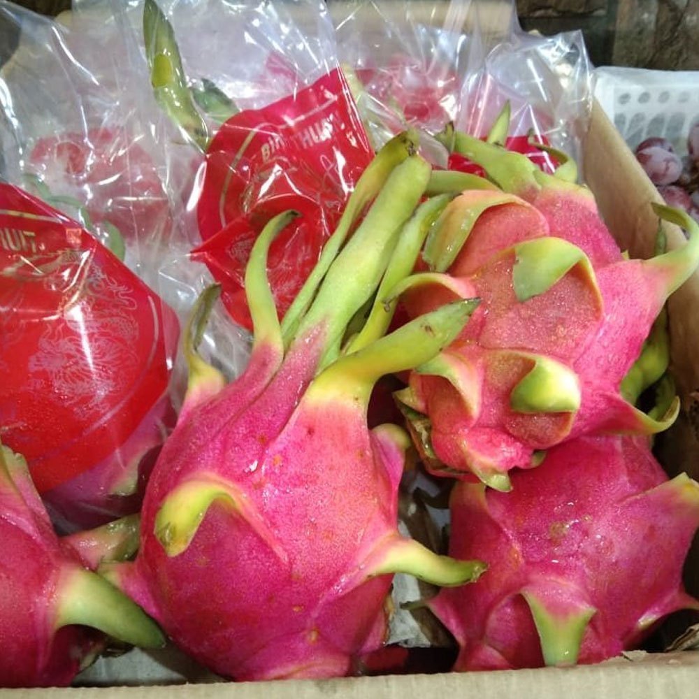 A Grade Pink Fresh Dragon Fruit