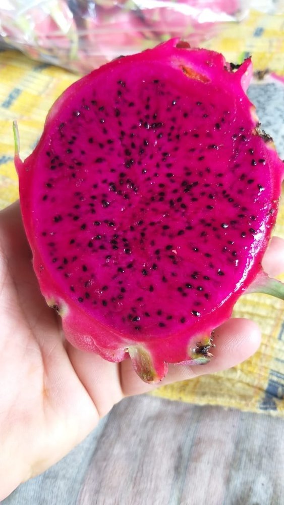 Red And White Dragon Fruit, Packaging Size: 5 Kg