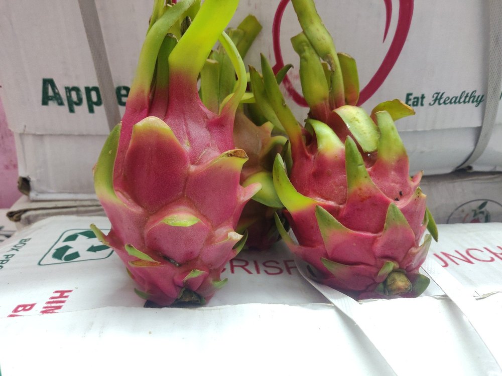 A Grade Orange Fresh Dragon Fruit, Packaging Size: 10 Kg