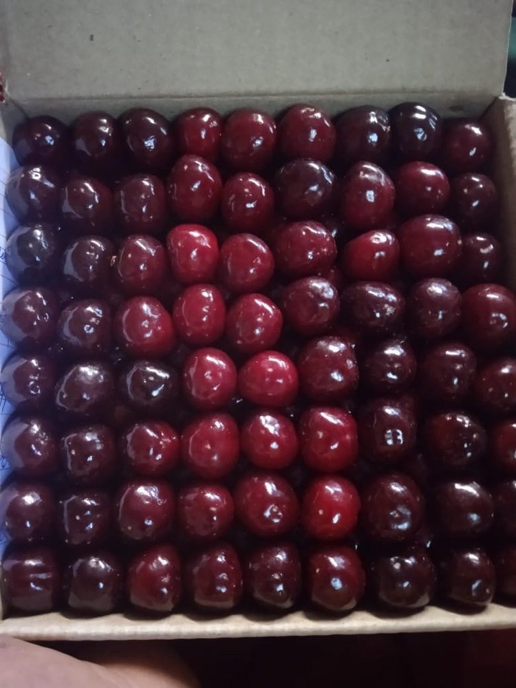 Red A Grade Fresh Cherry Fruits, Packaging Type: Carton, Packaging Size: Corrugated Box, Panet Packed