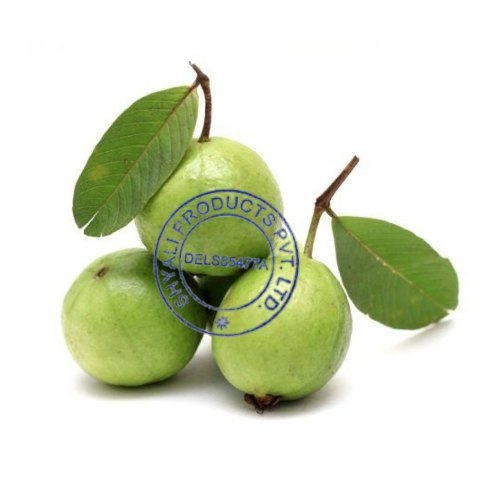 Round South Guava, Packaging Type: Carton, Packaging Size: 50 Kg