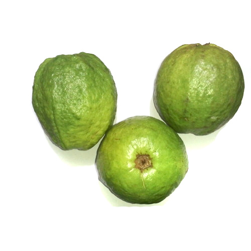 Taiwan Round Fresh Guava, Packaging Type: Carton