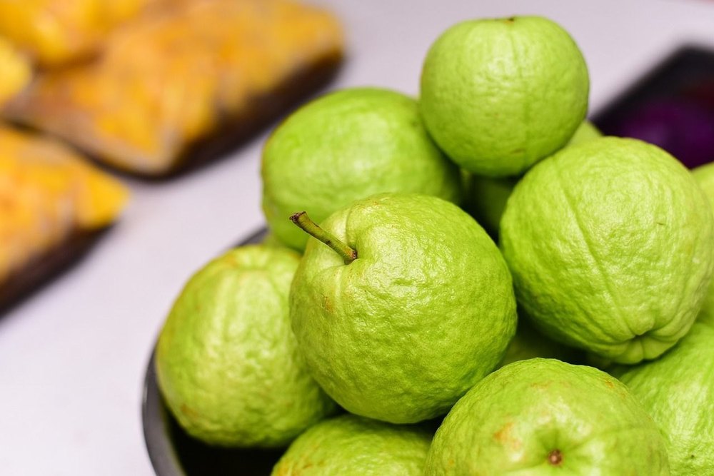 L49 Round Fresh Guava Fruits, Packaging Type: Gunny Bag, Packaging Size: 10 Kg