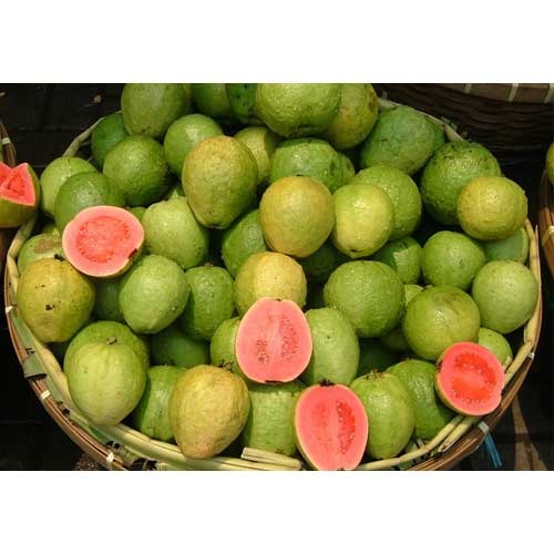 Indian Guava, Packaging Type: Carton