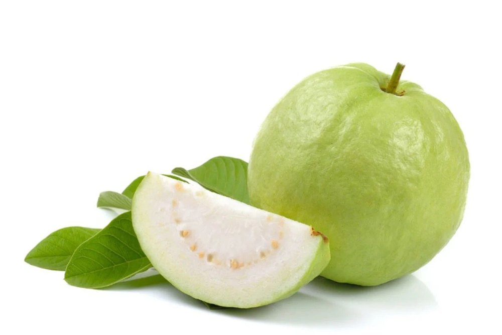 Round White Fresh Indian Guava