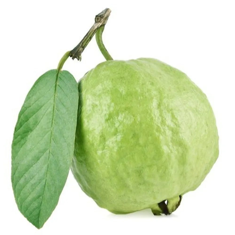 Green A Grade Fresh Guava Fruit, Packaging Type: Loose