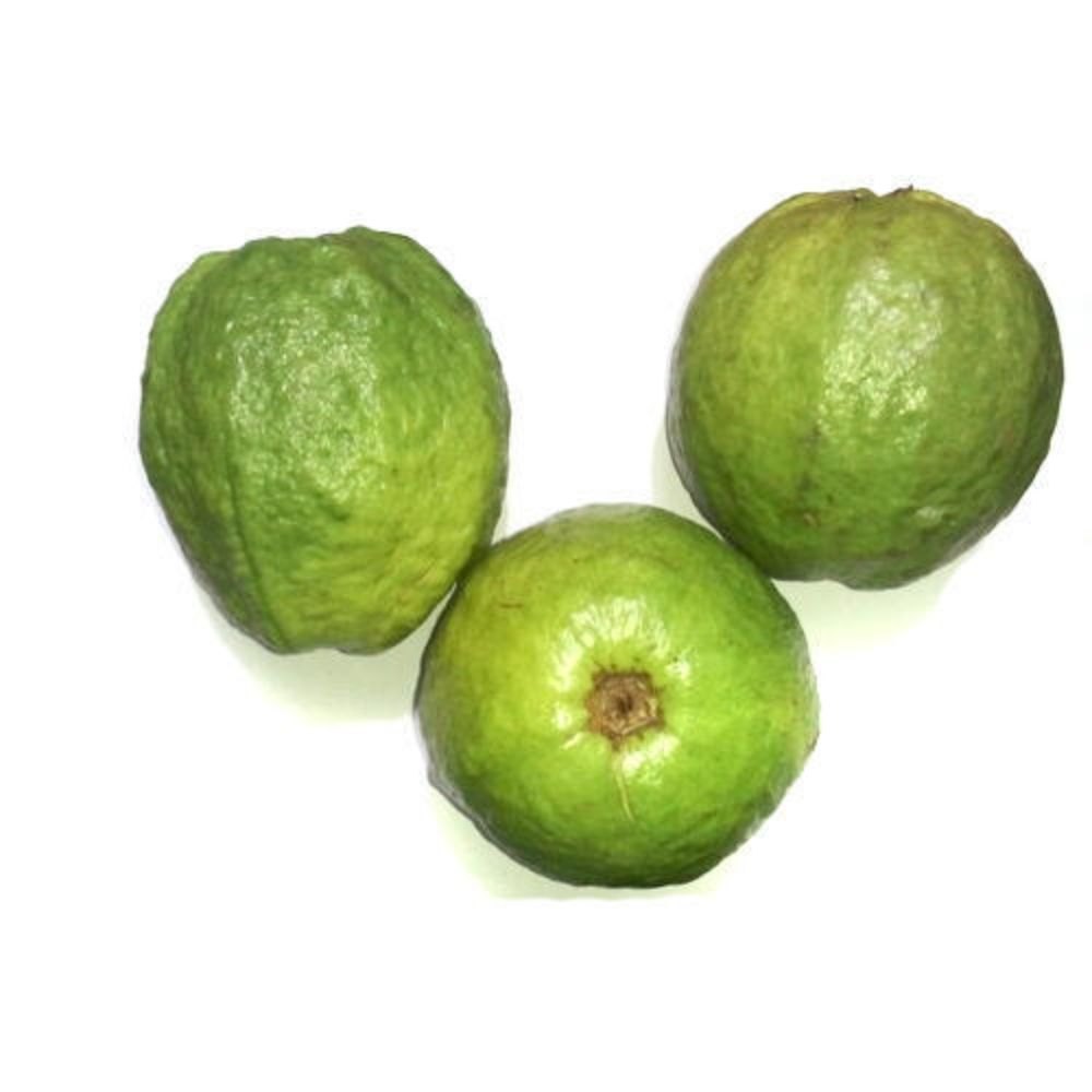 Green A Grade Fresh Guava