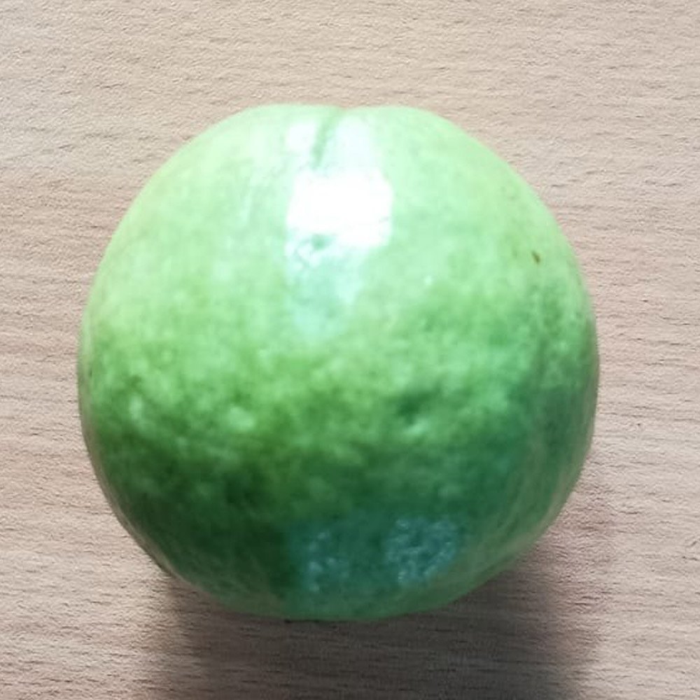 L49 Round Fresh Guava Fruit, Packaging Type: Loose