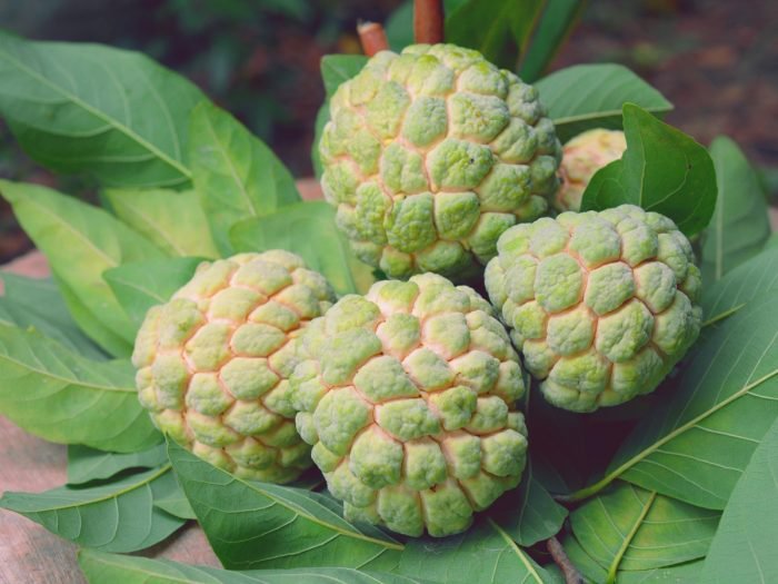 Custard Apple, Packaging Type: Carton