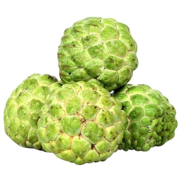 Custard Apple