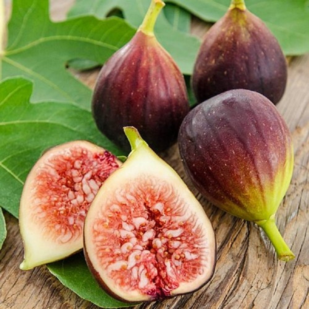 A Grade Fresh Fig, Variety: Purandar