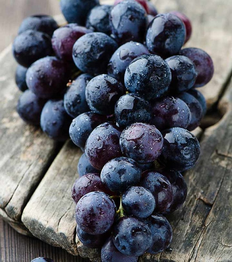 A Grade Organic Black Grapes