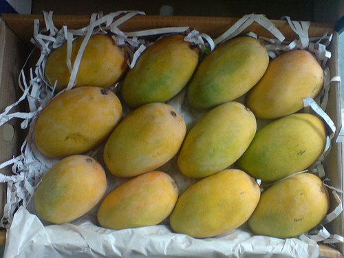 Gir Gunjan Yellow kesar mango, Packaging Size: 3 kg, Carton