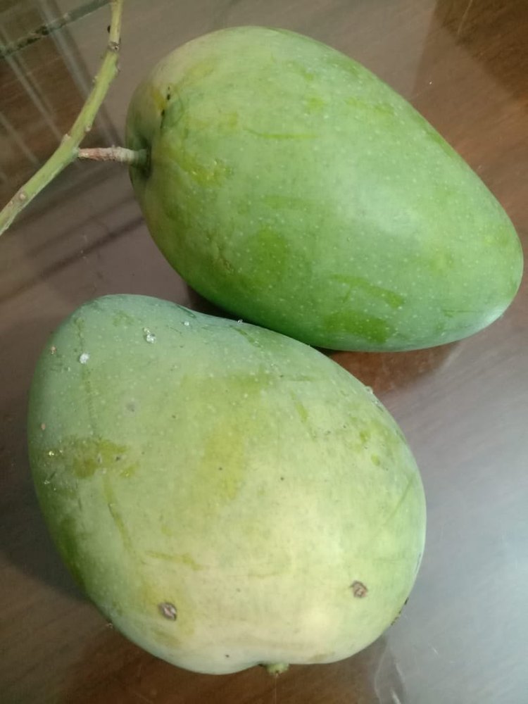 Yellow Badami Mango, Carton, Packaging Size: 10 Kg