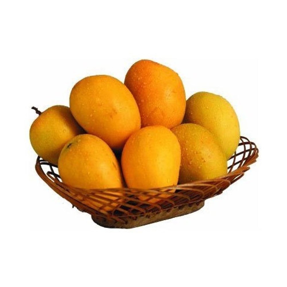 Yellow Fresh Kesar Mango Fruit, Carton, Packaging Size: 10 kg
