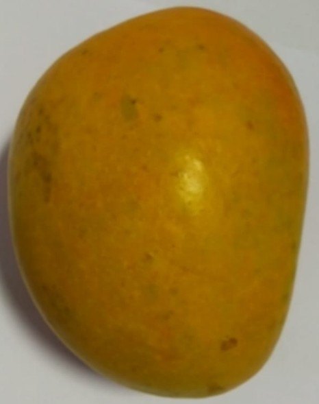 Alphonso Mangoes