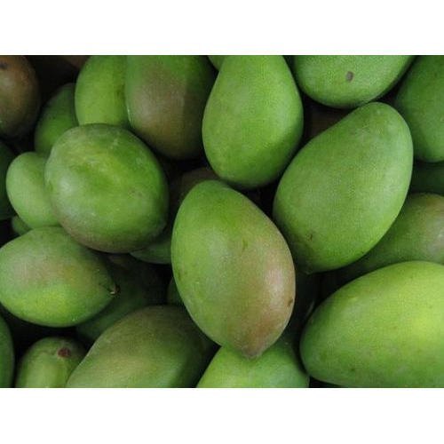 Banganapalli Green Mango, Carton, Packaging Size: 5 Kg