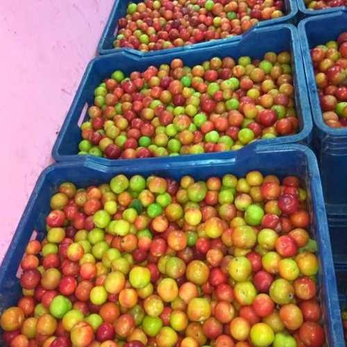 A Grade Fresh Plum Fruit, Packaging Type: Carton, Packaging Size: 10 Kg