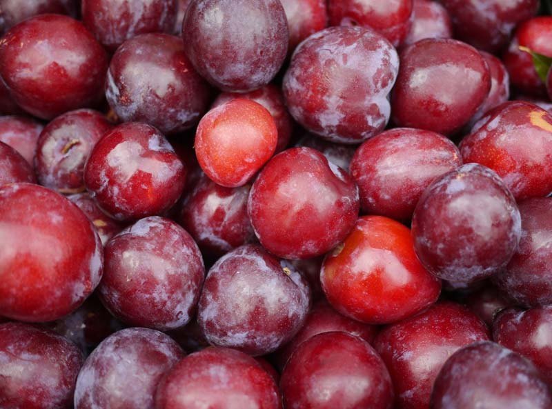 Dark Black A Grade Fresh Plum, Packaging Type: Carton, Packaging Size: 1 Kg