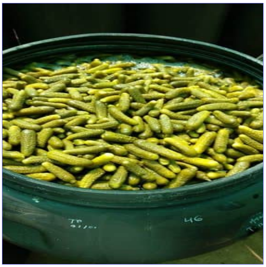 Preserved Gherkins, Packaging Size: 240/260 liter, HMHDPE Barrels