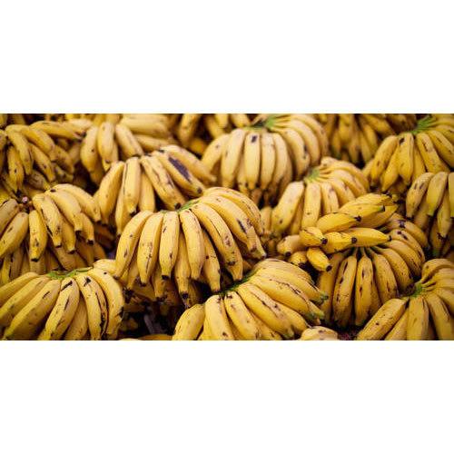 Fresh Banana